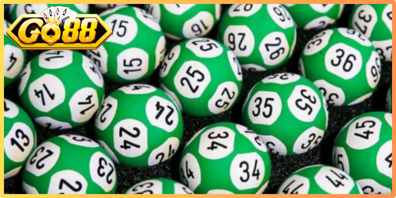 Bạch Thủ Lô Go88 – Khám Phá Cách Theo Dõi Số Liệu Dễ Hiểu 3 Kinh nghiệm nuôi bạch thủ lô Go88 hiệu quả từ cao thủ